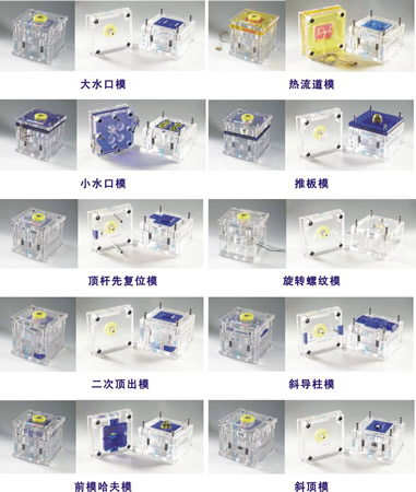 理论教学透明模具模型